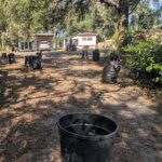 Yard Debris Removal