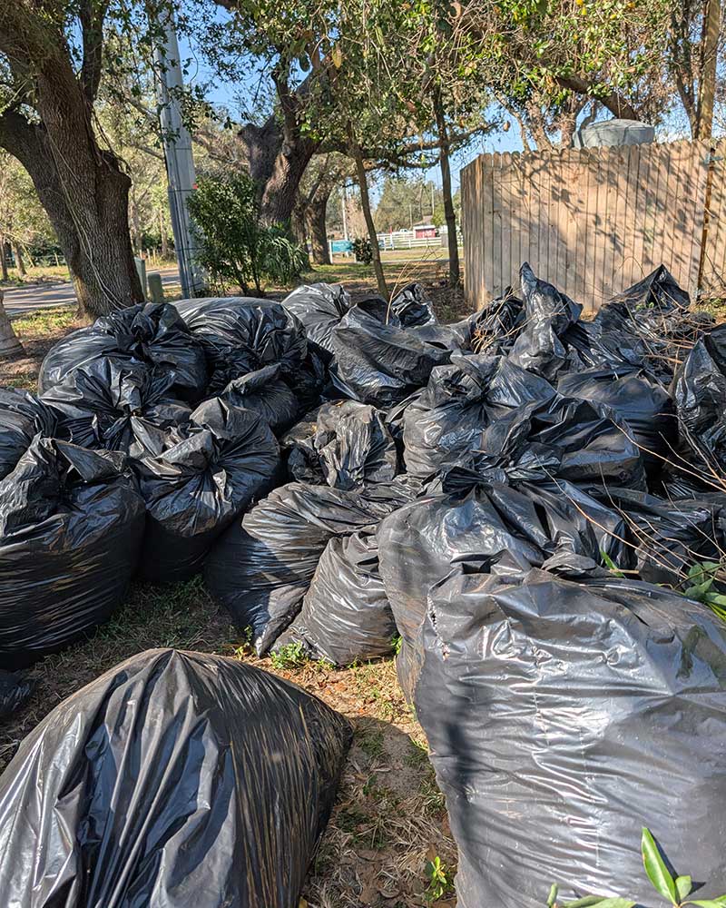 Land Clearing