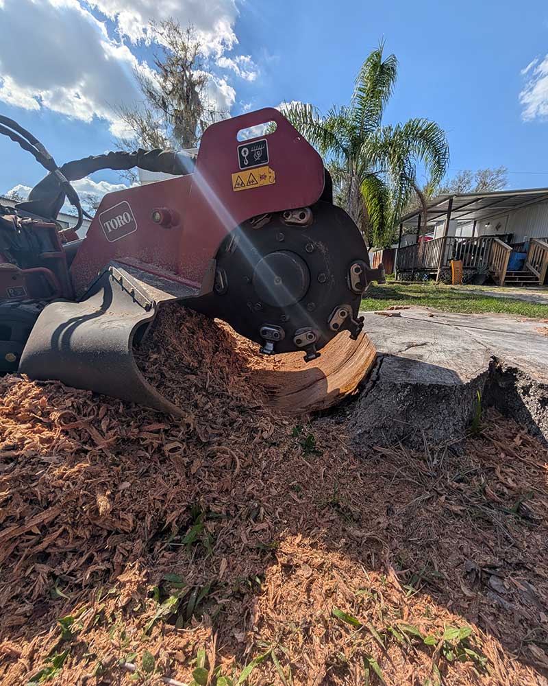 Land Clearing