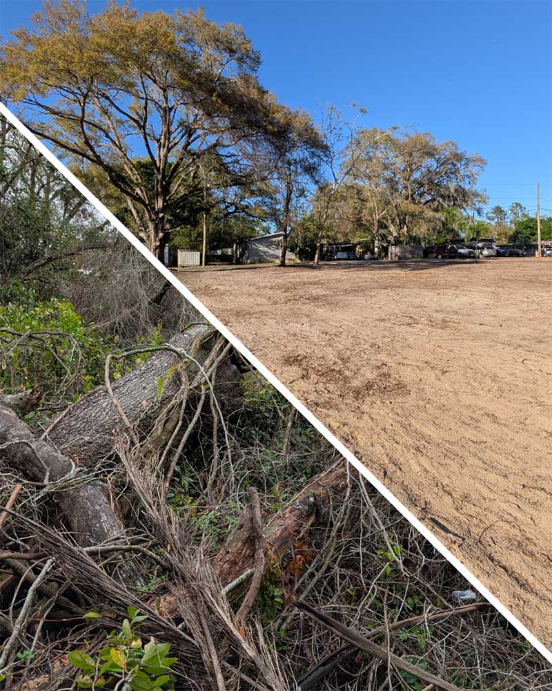 Land Clearing