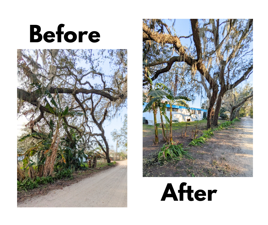 before and after