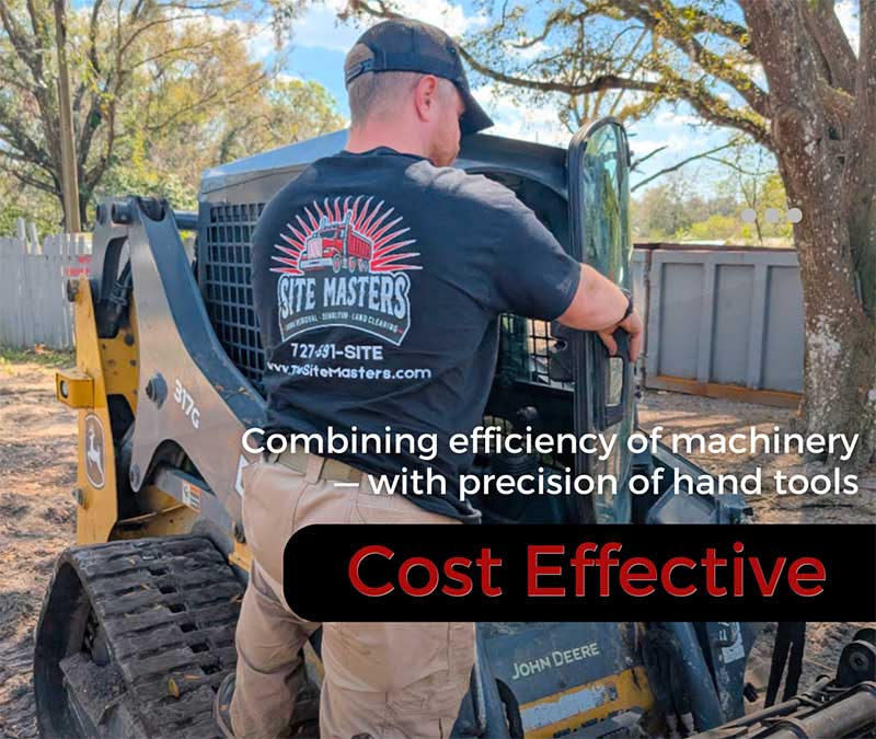 fence line clearing tampa paver removal brandon yard cleanup tampa bay brush clearing