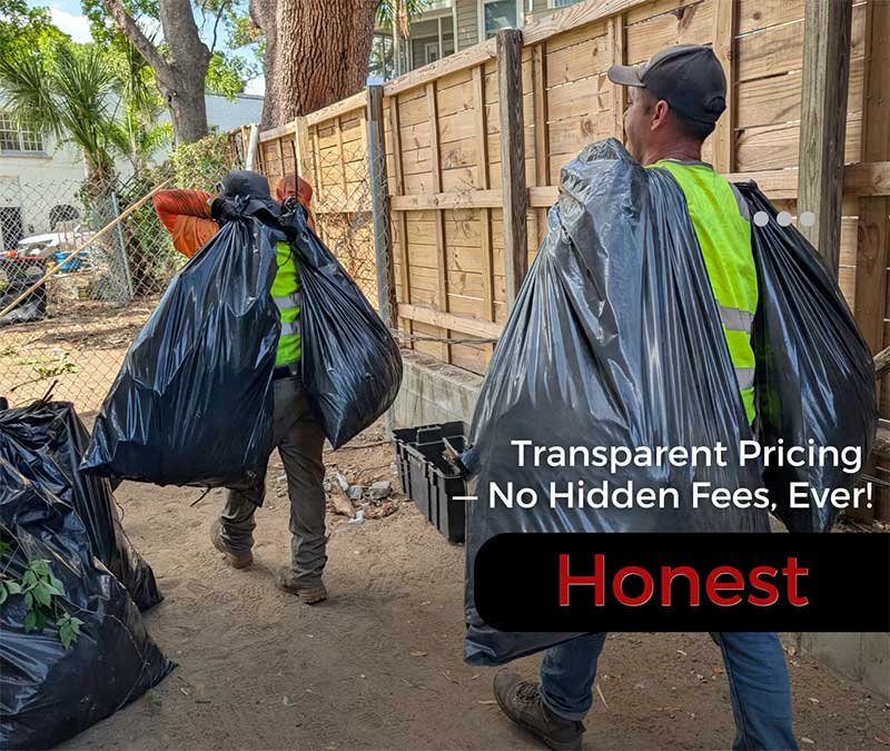 landscape cleanup tampa land clearing tampa bay overgrowth clearing thonotosassa