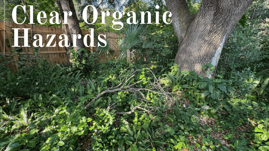 Hurricane Preparation Services Tampa Bay Organic debris removal brandon vegetation clearing thonotosassa