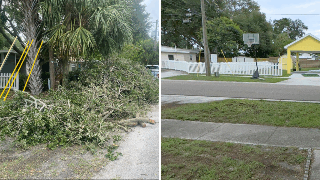yard cleanup services in Tampa