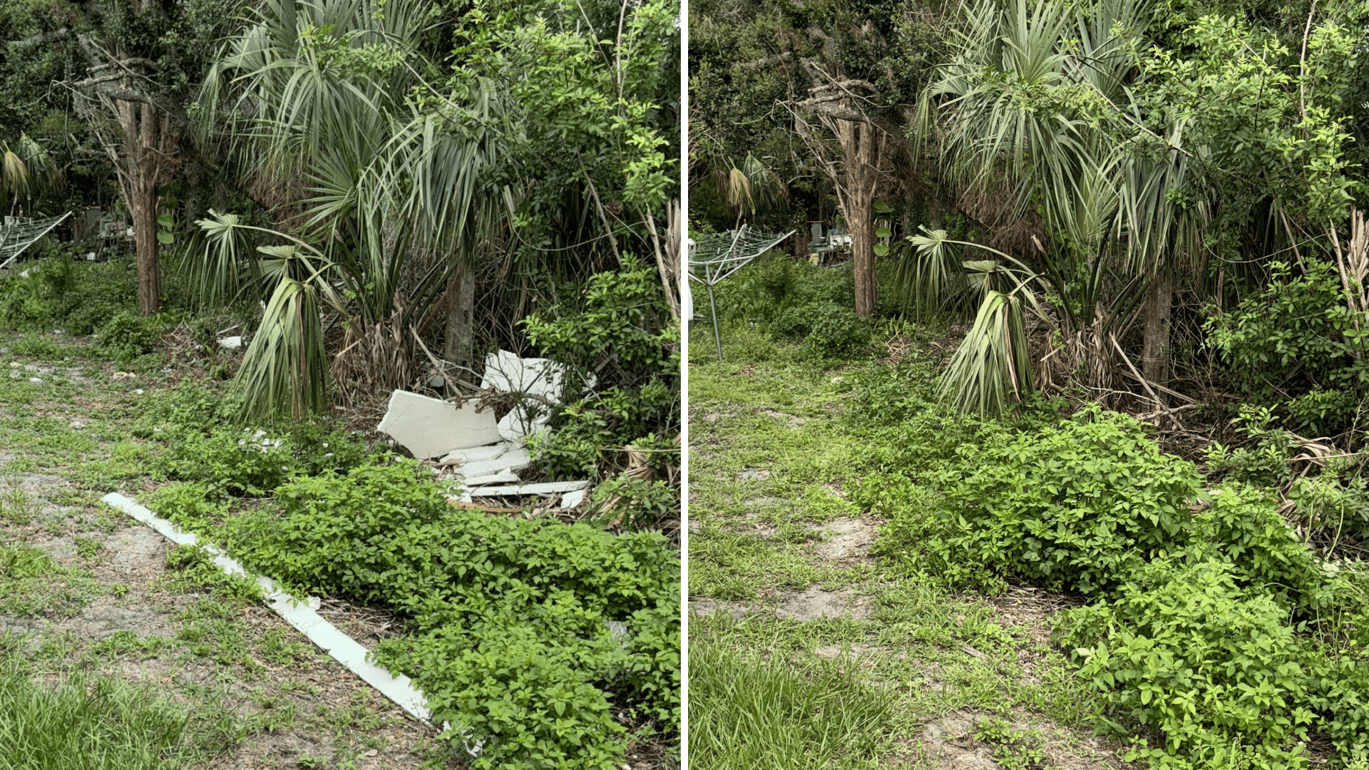 Crew loading debris onto a truck