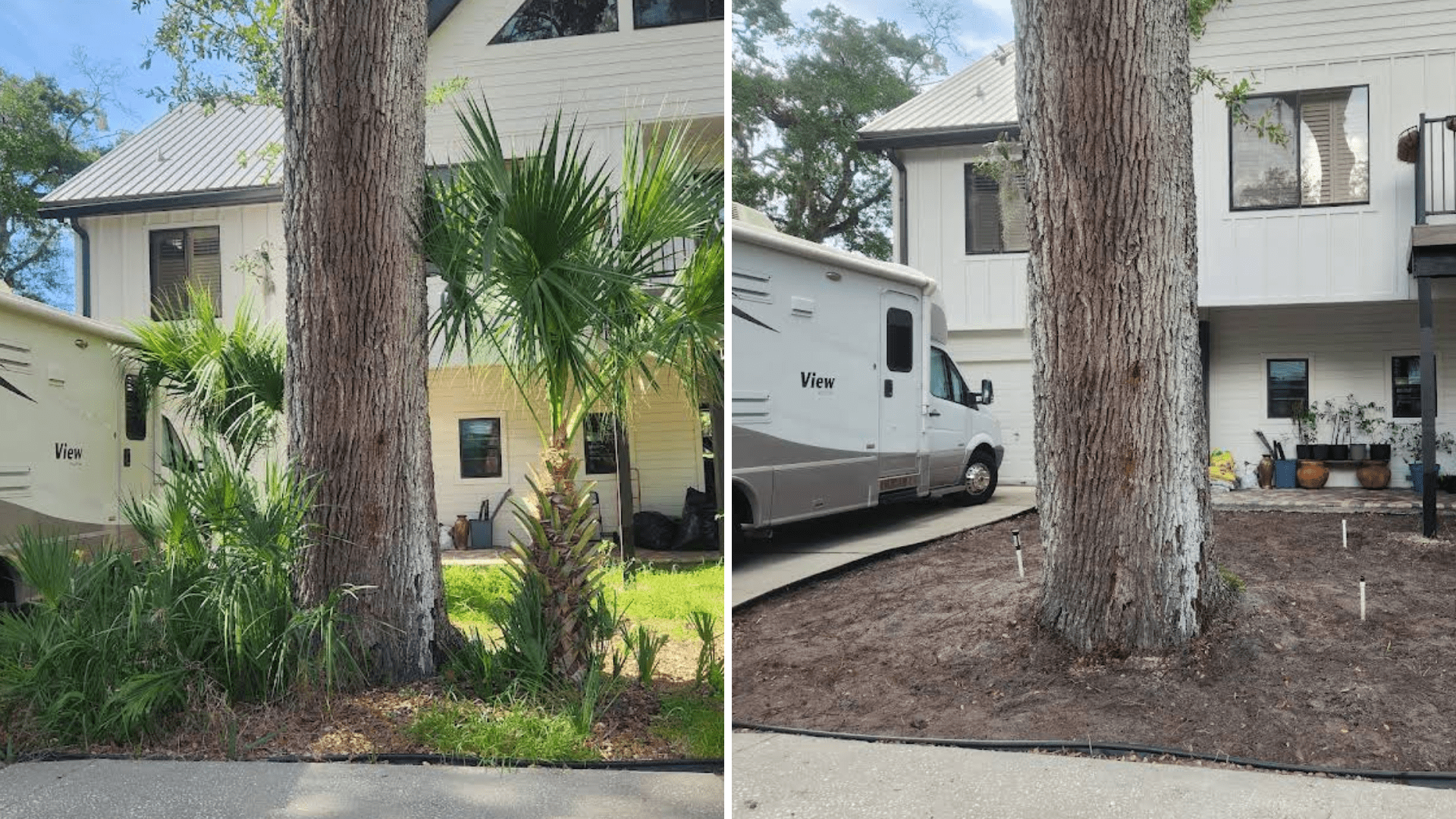 before and after photo of brush and tree removal
