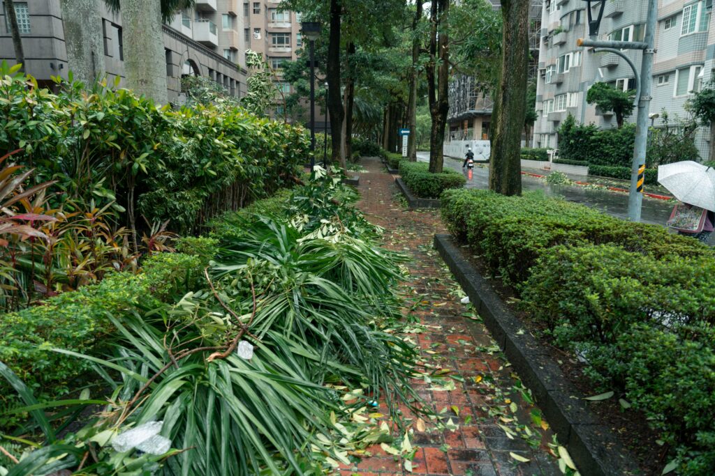 A wet city sidewalk covered in fallen leaves and broken branches after a storm, requiring professional yard waste removal and brush clearing services.