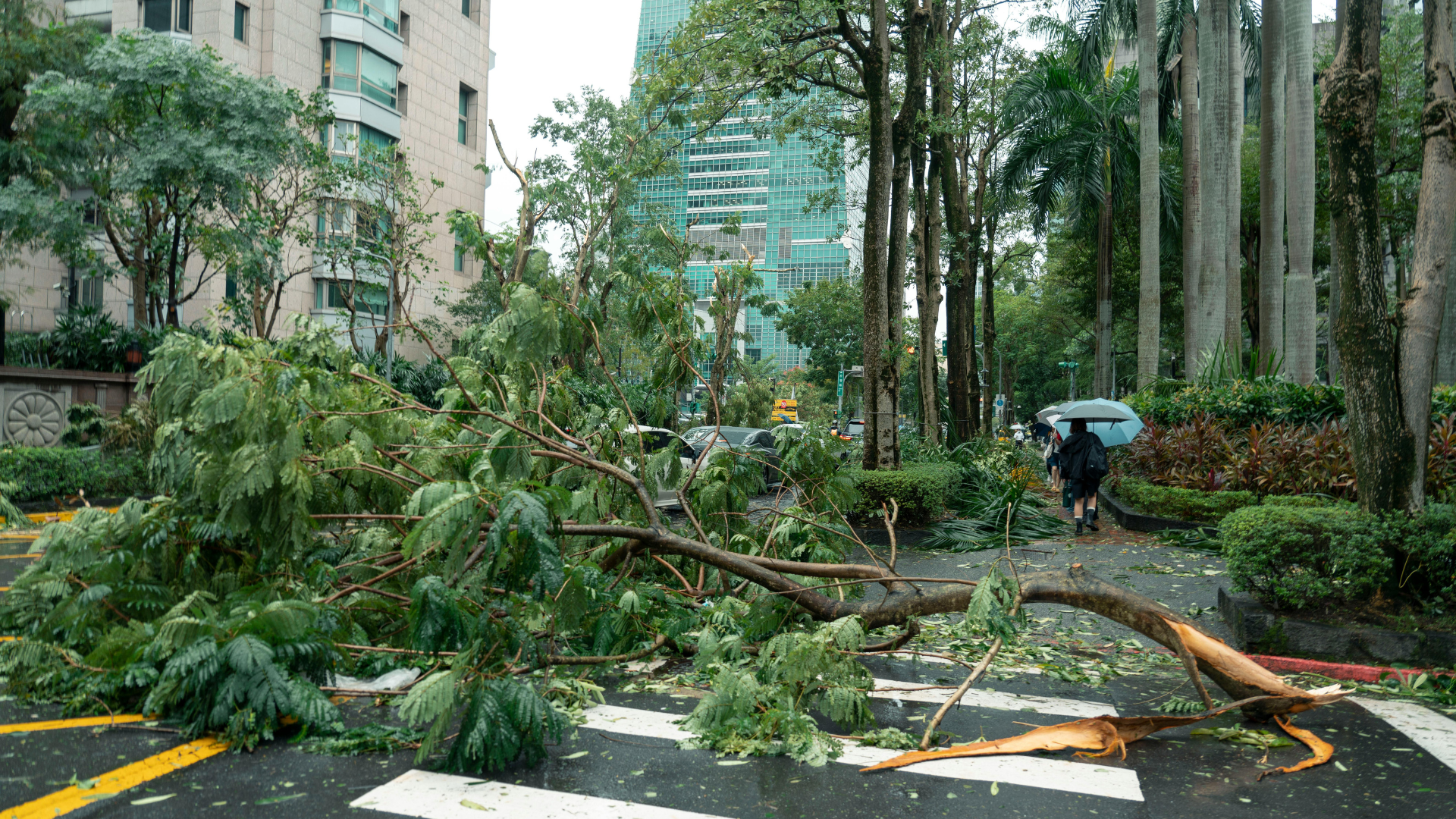 storm damage cleanup
