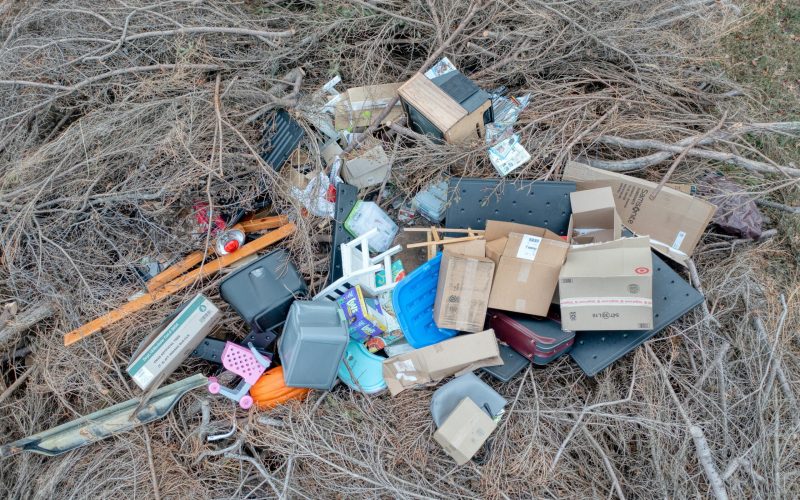 A large pile of yard debris and household junk in a Tampa yard requiring a complete cleanup and haul away service.